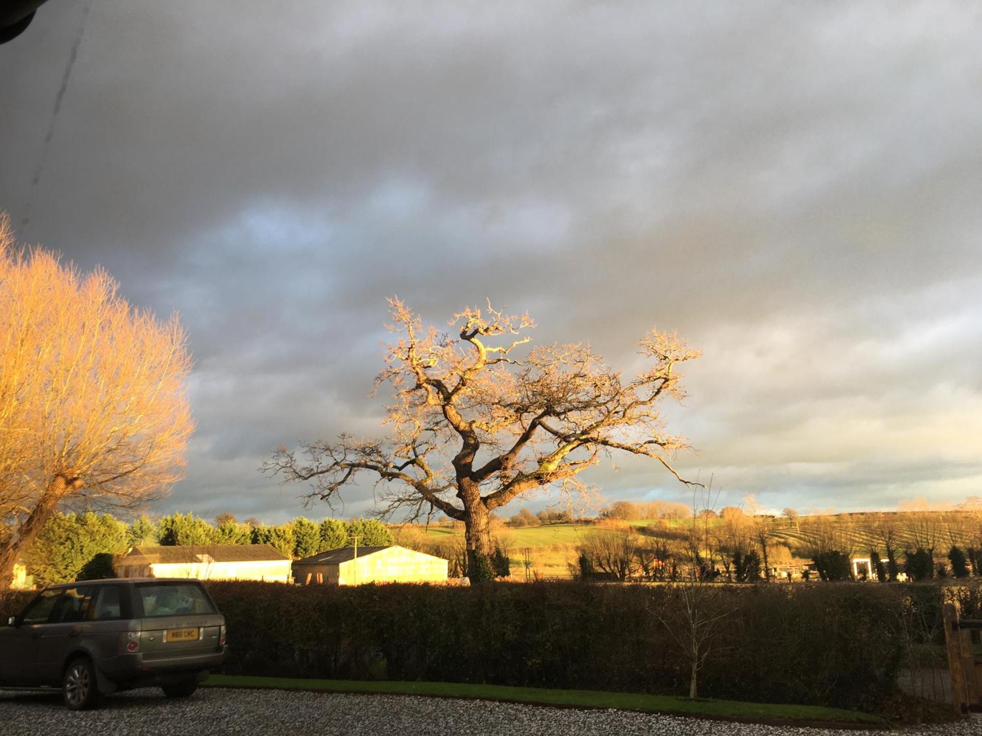 Oak Barn In The Cotswolds Near Moreton In Marsh Shipston-on-Stour Esterno foto